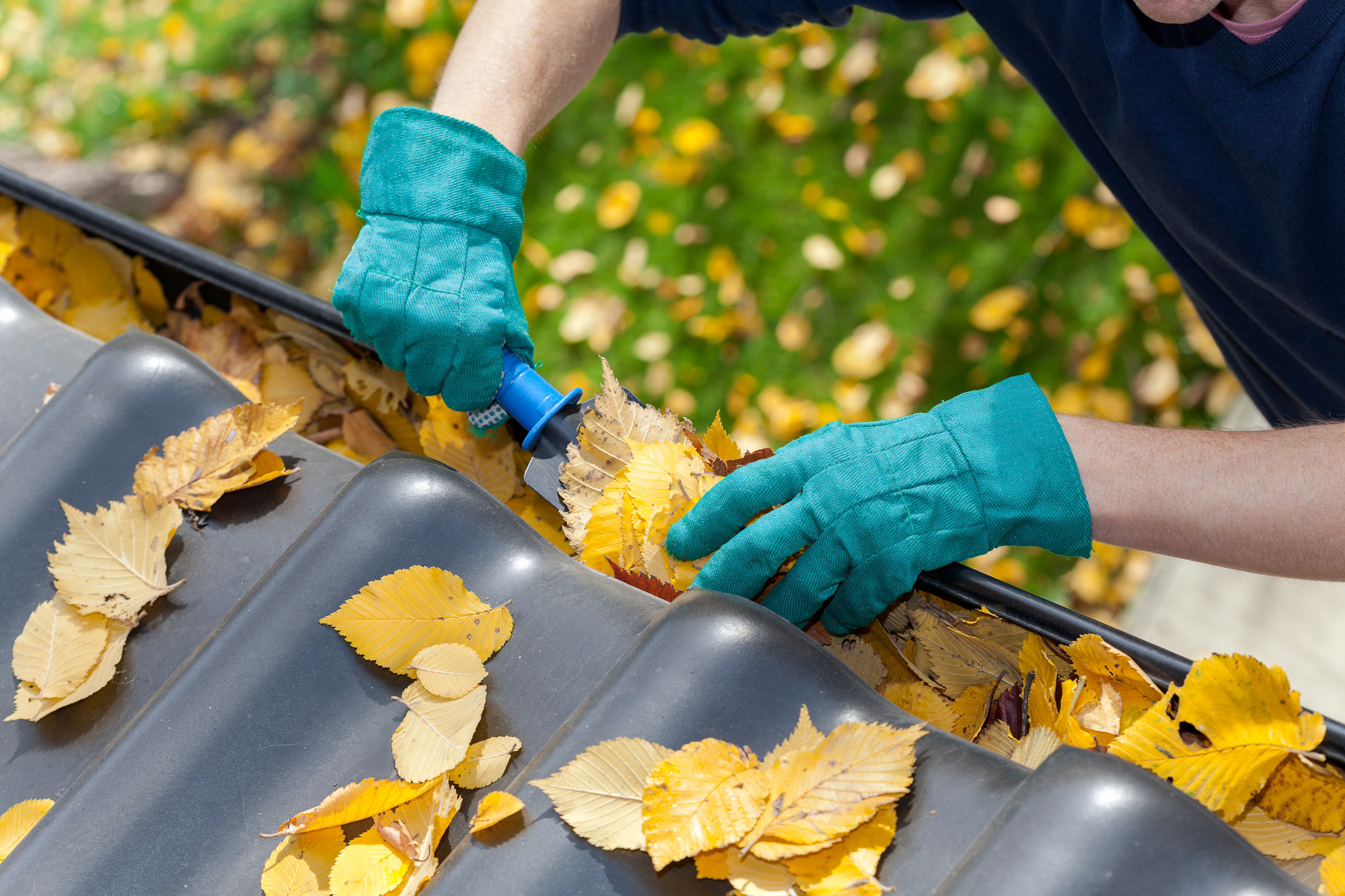 Autumn Safety Tips: Protect What Matters