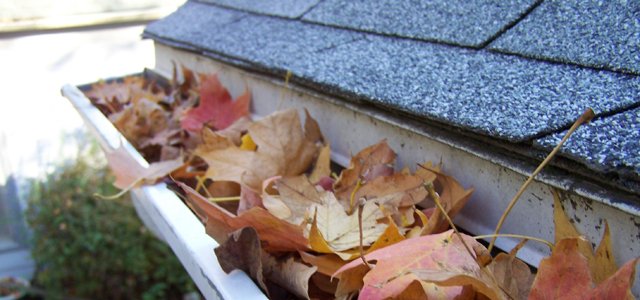 Your Fall Checklist: How to Prepare Your Home