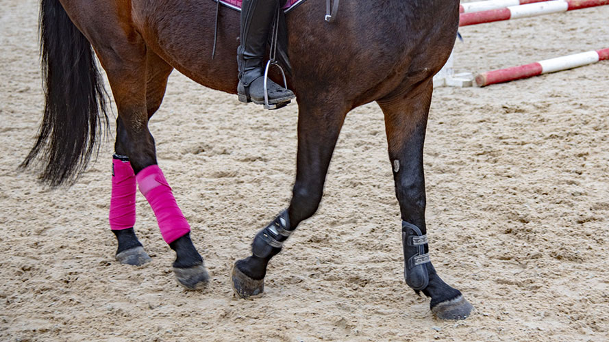 A girl is riding on horse