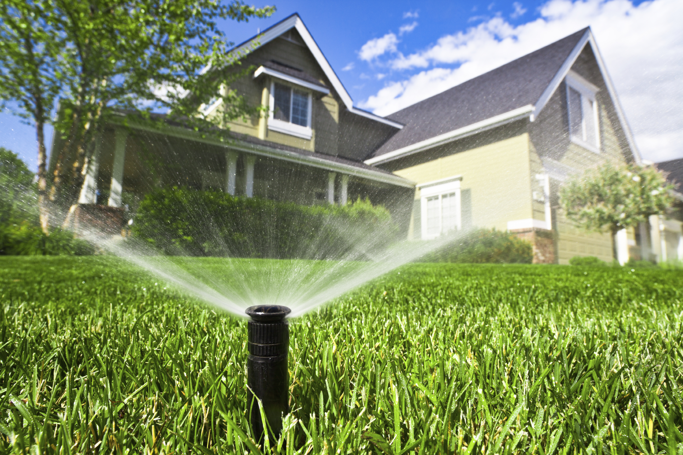 Water Your Lawn As Needed, And At The Right Time