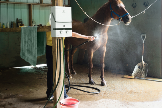 By Eccotemp Water Heater Make Your Horse More Comfortable During The Grooming Process Eccotemp USA